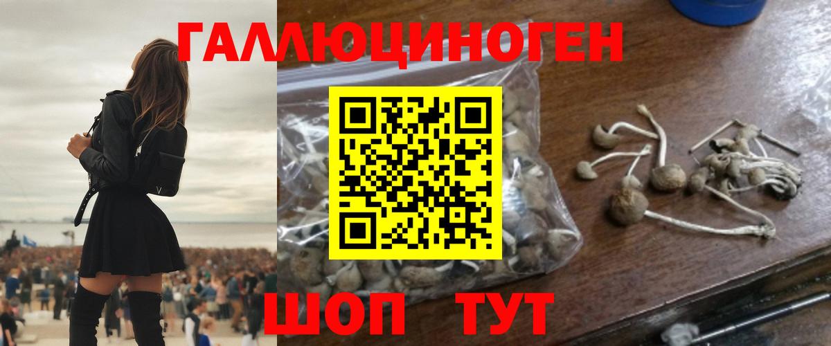 купить  сайты  Галлюциногенные грибы Magic Shrooms  Вход с VPN  Сатка 